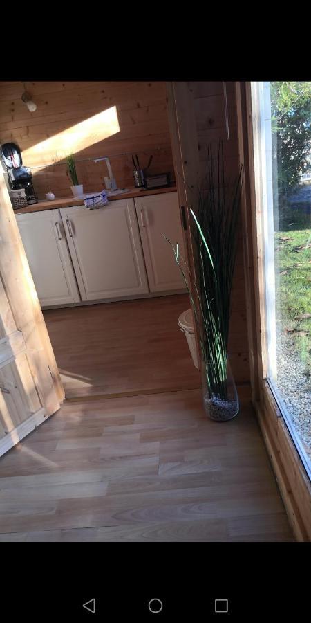 25 Qm Holz Bungalow, Garten-Grill, Gehoben, Optimiert, Massivholzbett Scharbeutz Dış mekan fotoğraf